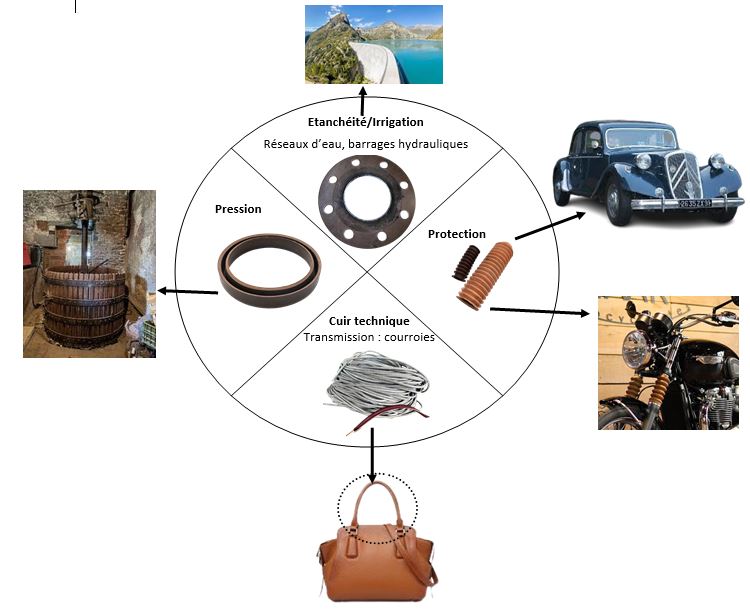 Schéma représentant un ovale en 4 parties avec photos de produits en cuir et flèches vers les domaines concernés à l’extérieur de l’ovale