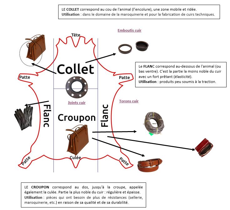 schéma d’une peau de bovin avec indication de la tête, les pattes, le flanc, le collet, le croupon, la culée et flèches vers les produits en cuir concernés